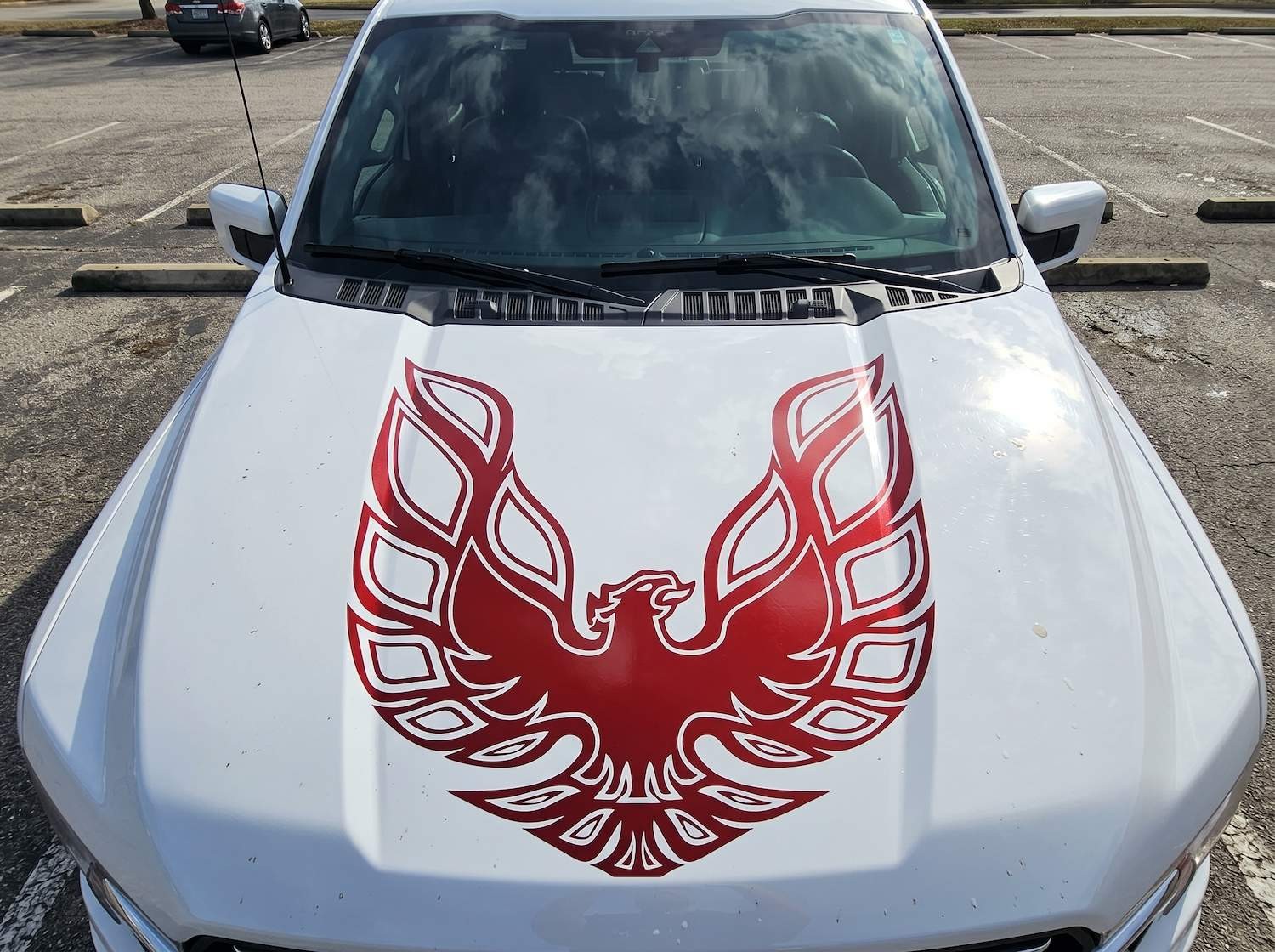 Firebird Phoenix Style Hood Decal Vinyl Graphic 31×31 for Truck SUV Car