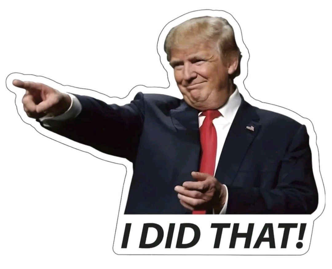 100x Trump I DID THAT Sticker Humor Funny Decal Sticker Set US