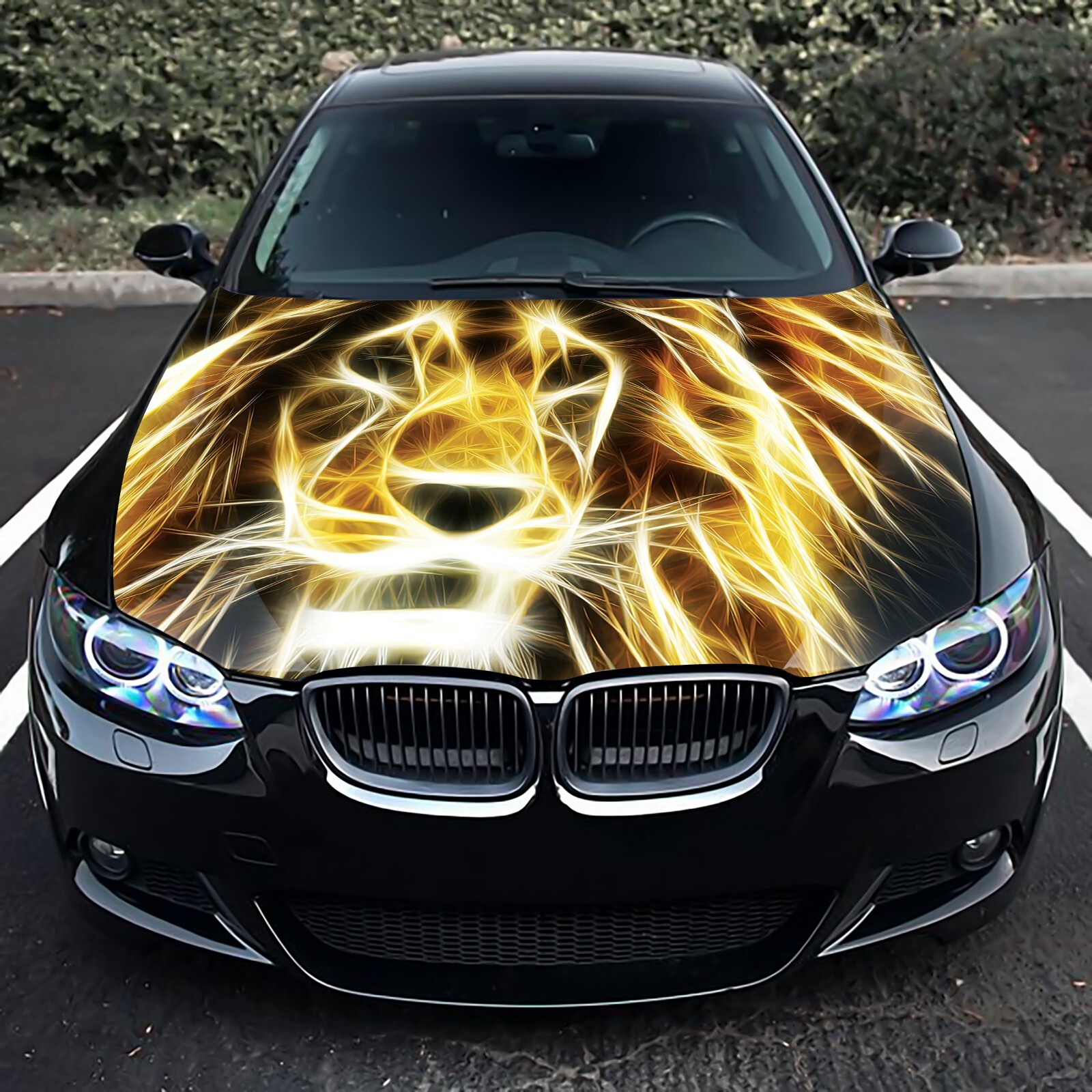 Lion Abstract Car Hood Wrap Decal Vinyl Sticker Full Color Graphic Fit Any Car