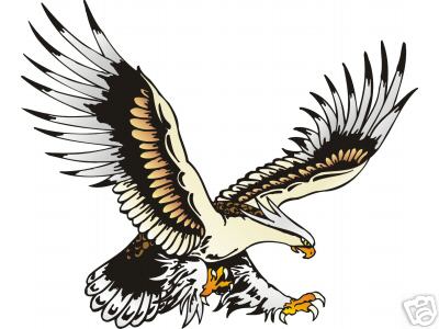 CUSTOM EAGLE FULL COLOR HOOD DECAL 20 x 24″