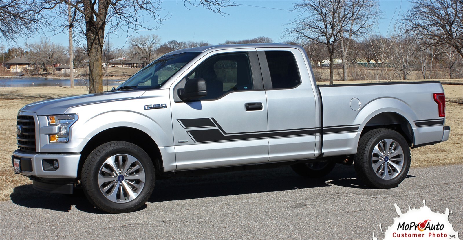 ELIMINATOR 2015-2020 Ford F-150 Side Door Low Hockey Stripe Vinyl Graphic Decal