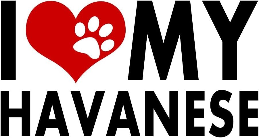 I Love My Havanese Vinyl Graphic Decal Car Truck Windows Vehicle Havanese Dog