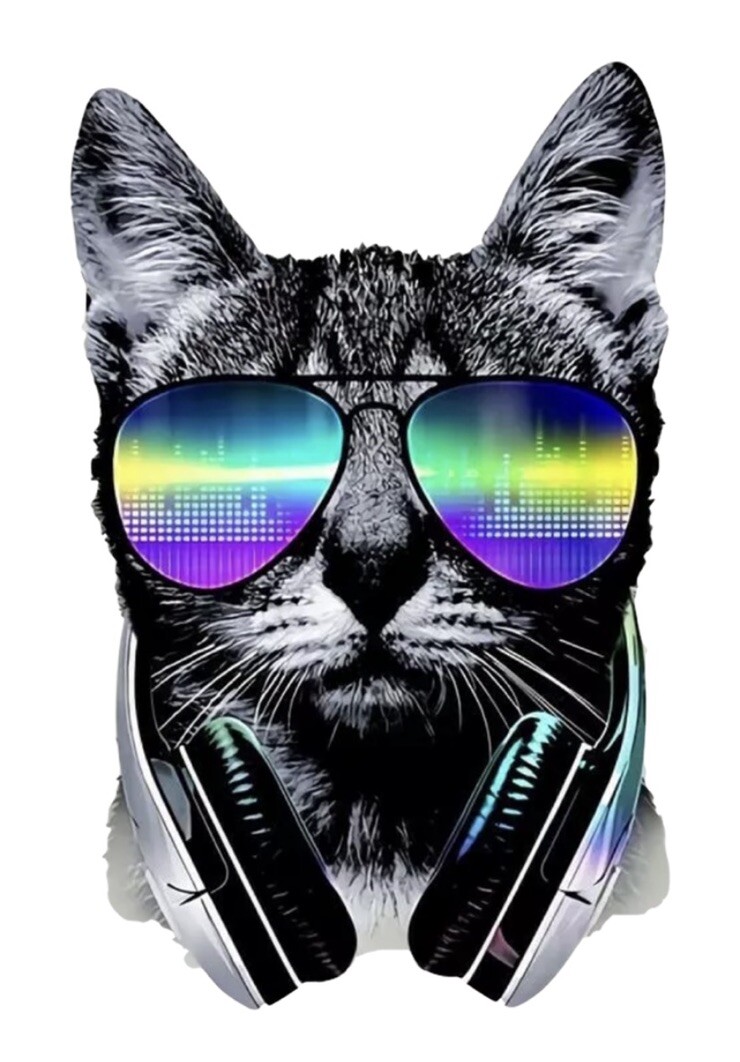Cat Sunglasses Sticker 4” Colorful Rainbow Funny Cute Kitty