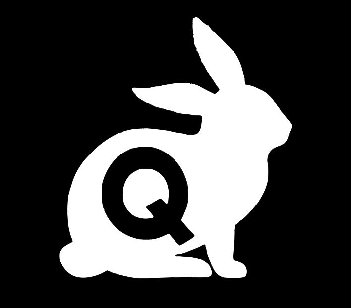 Down the Rabbit Hole Conspiracy Mystery Funny Car Window Decal Bumper Sticker