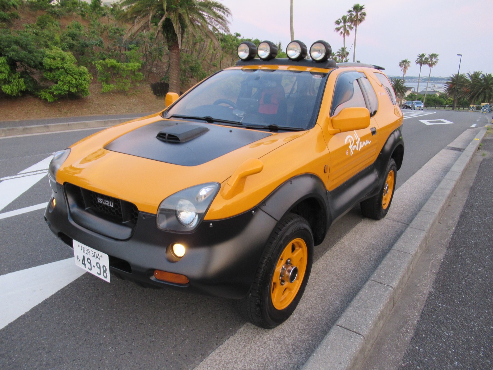♦ISUZU VehiCROSS♦ 3D Decal/Emblem♦1997-2001♦ Side (left ＆ right)+Rear Set price♦