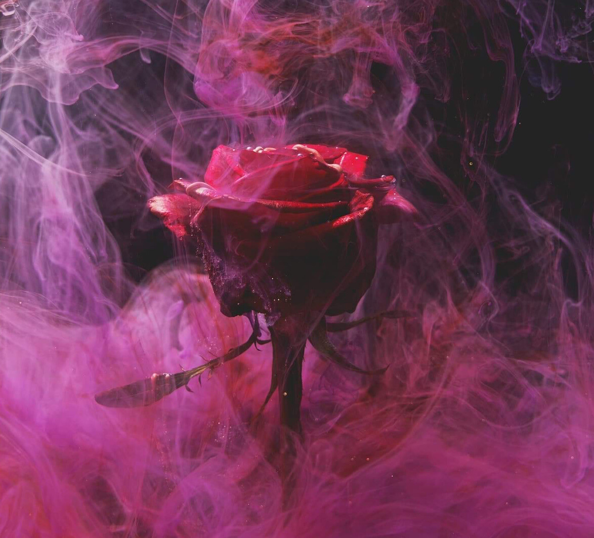 Red Rose Phone Sticker (2 inch) Love Flower Smoke Imagination Passion