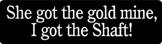 She Got The Gold Mine I Got The Shaft Motorcycle Helmet Sticker C