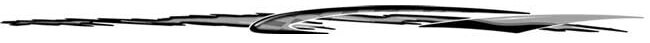 Illusions Cheetah LARGE Graphics for Cars & Trucks (440; 6″ X 132″)