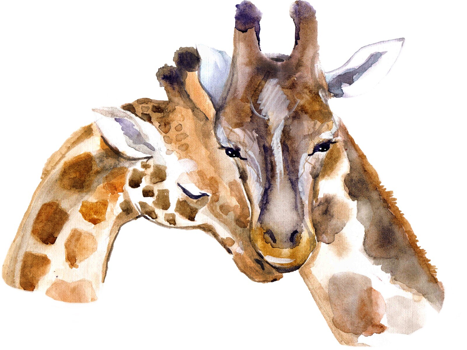 4” Giraffe Mates Head Sticker Wild Animal Africa Savanna Tall Majestic Cute Zoo