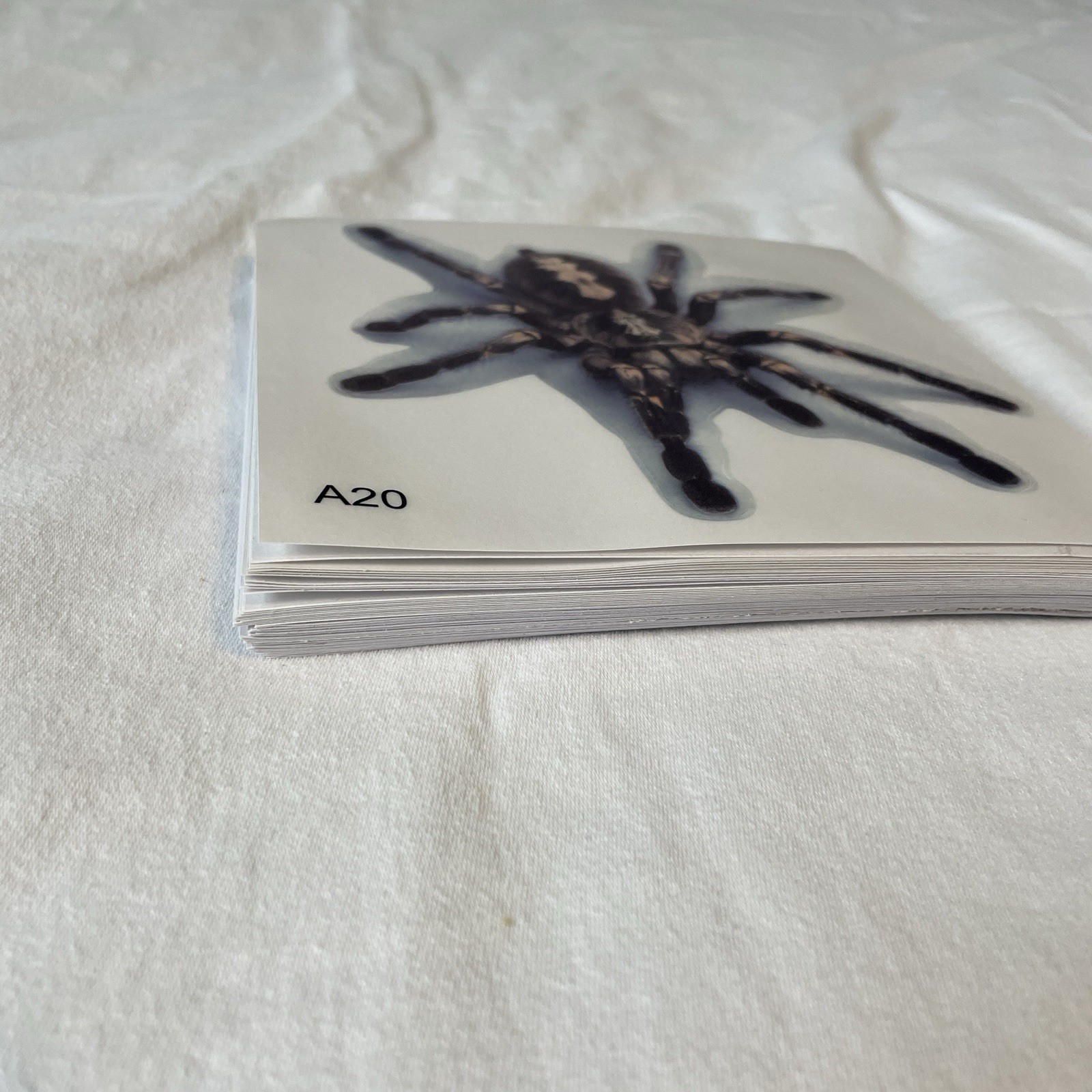 Lot Of 48 Tarantula Spider Sticker 4×4 Inch Car Truck Window Bumper Decal