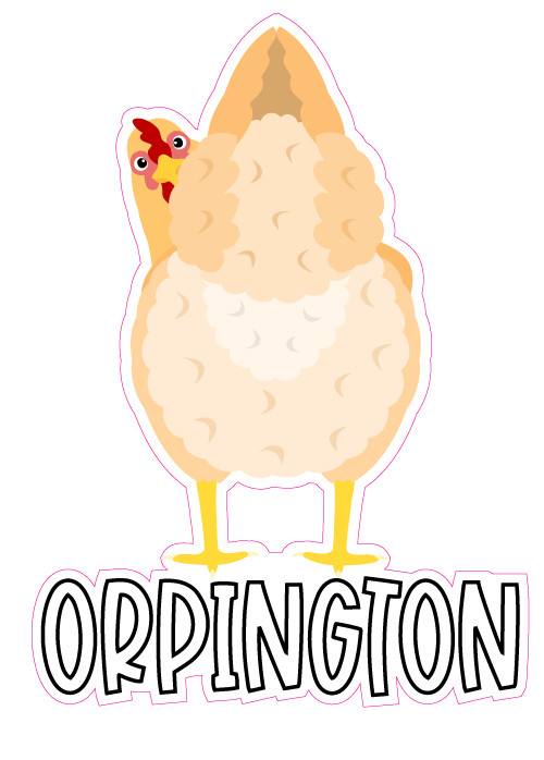 ORPINGTON Chicken Hen Heritage Breed Colour Car Window Decal Sticker 125mm
