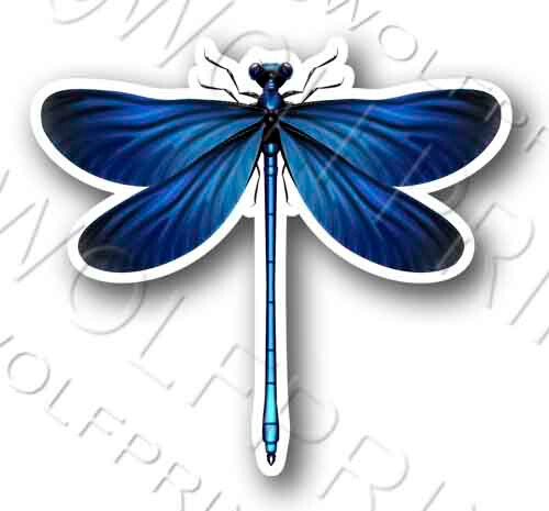 Dragonfly Sticker 4″ Tall Blue Butterfly Insect Decal