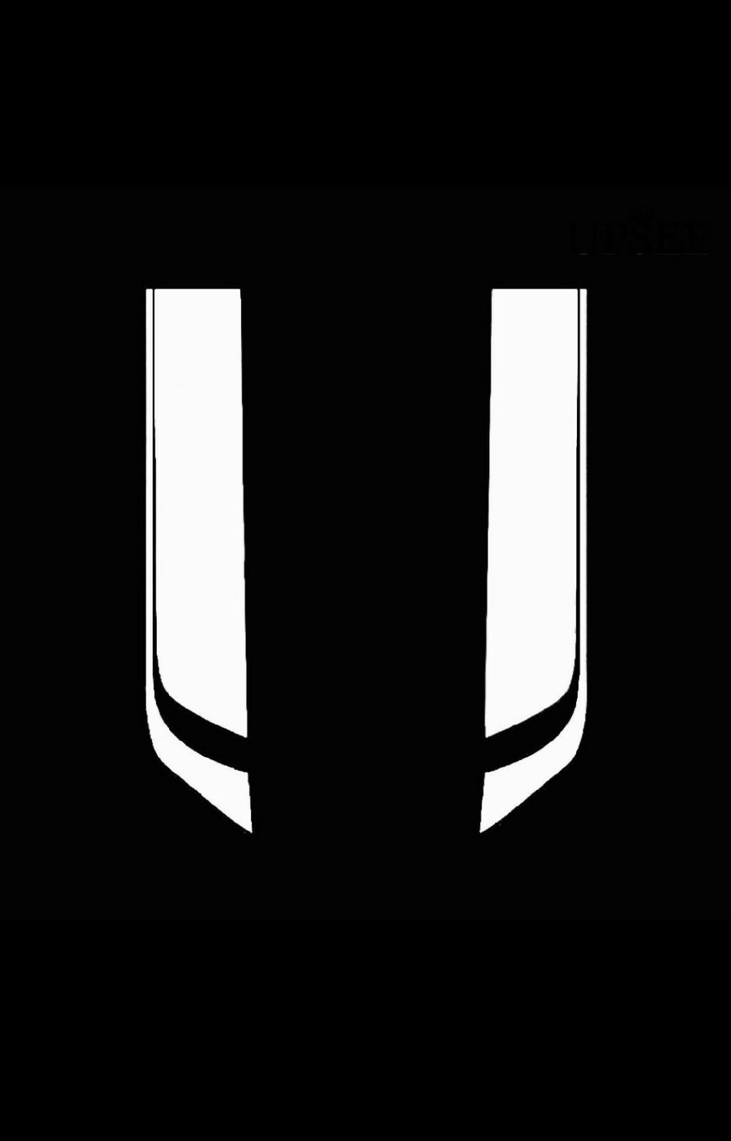 CAR HOOD DECORATION DECAL RACING STICKER X 2 PIECES WHITE
