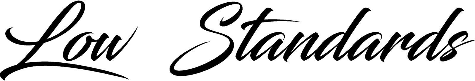 LOW STANDARDS 4″ x 25″ Decal Letters Car Window WINDSHIELD Personalized JDM