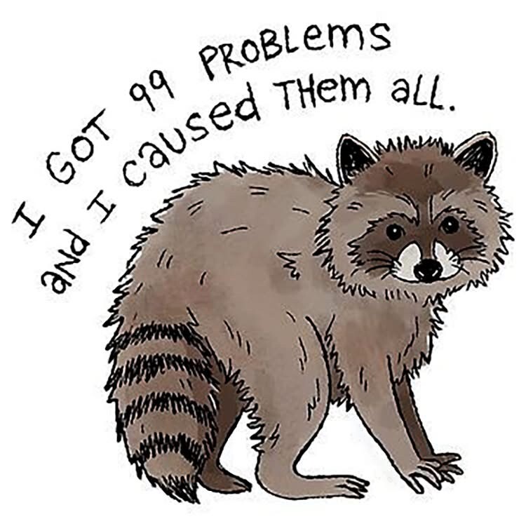Raccoon Sticker (4 Inch) Funny I got 99 Problems Silly Humor Cute Animal
