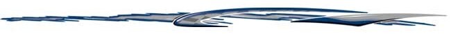 Illusions Cheetah LARGE Graphics for Cars & Trucks (440; 6″ X 132″)