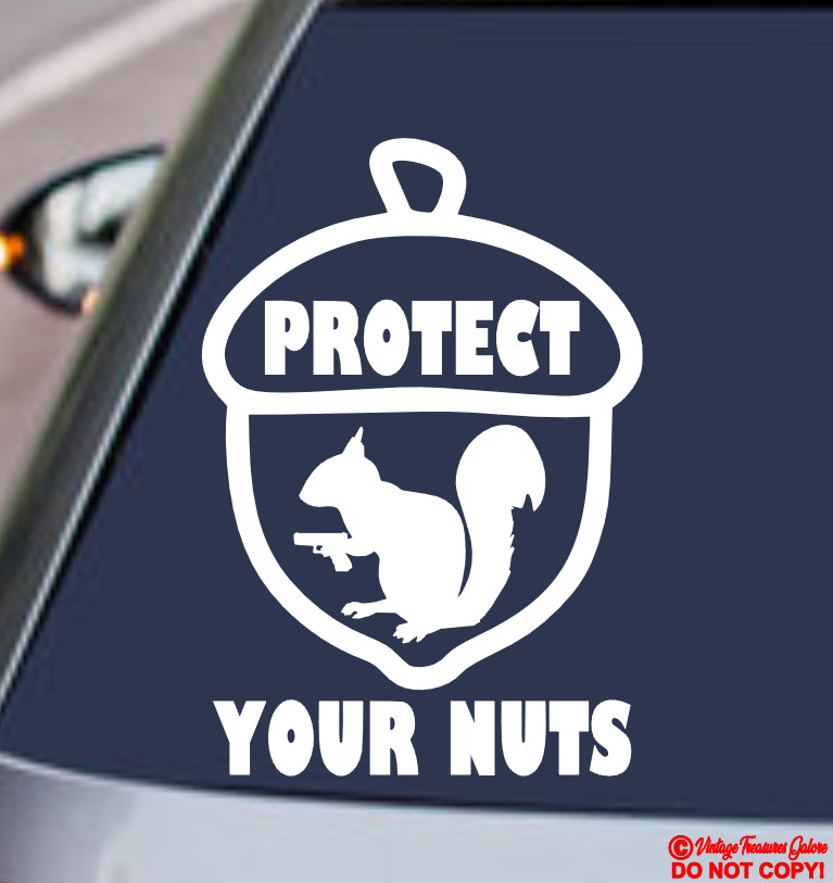PROTECT YOUR NUTS SQUIRREL PISTOL GUN VINYL DECAL STICKER CAR WINDOW BUMPER JDM