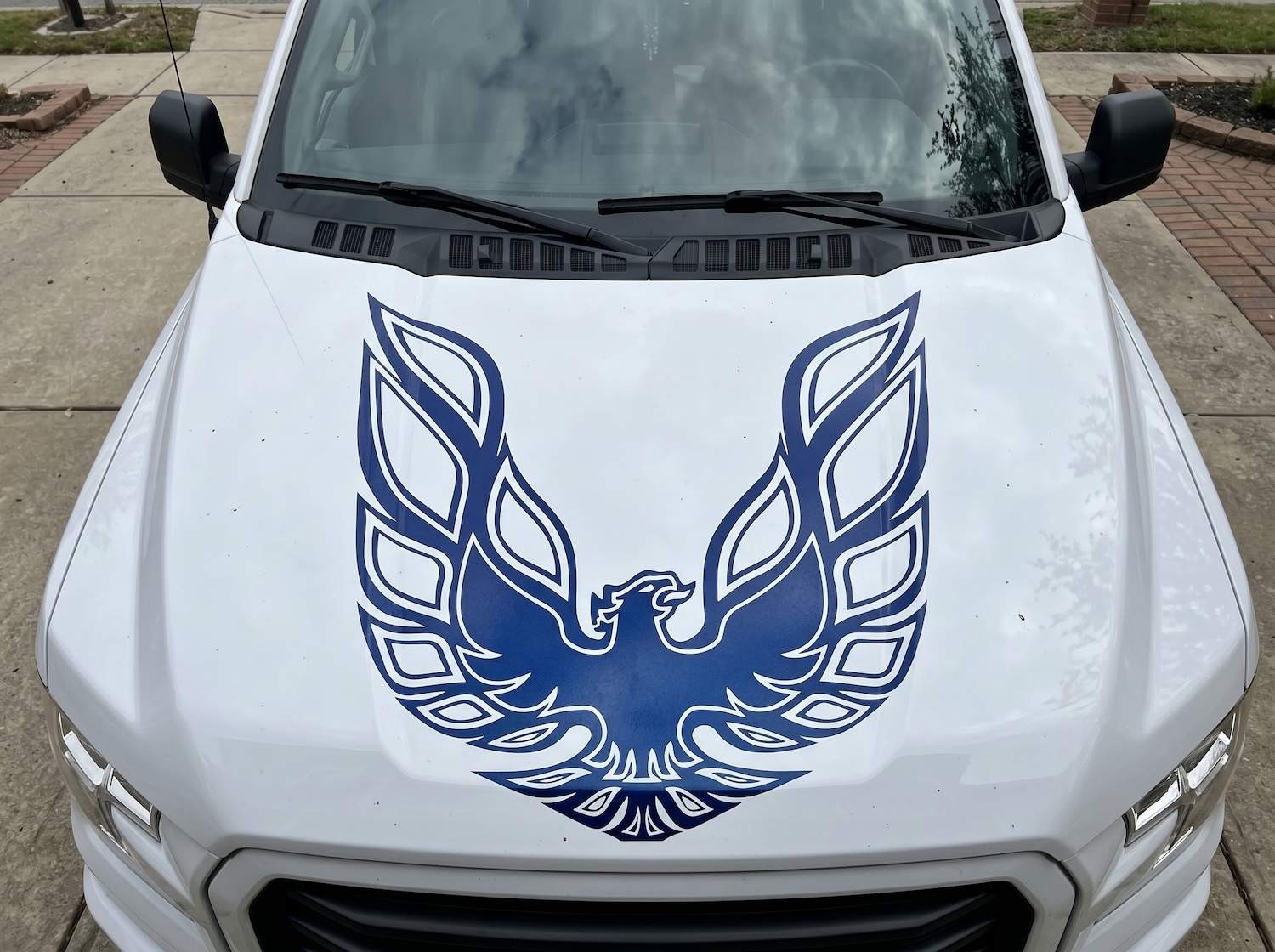 Firebird Phoenix Style Hood Decal Vinyl Graphic 35×35 for Truck SUV Car