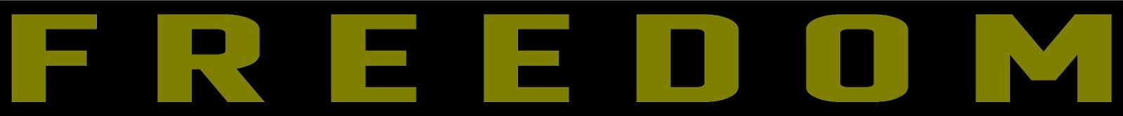 Freedom Die Cut Vinyl Decal Multiple Sizes Multiple Colors