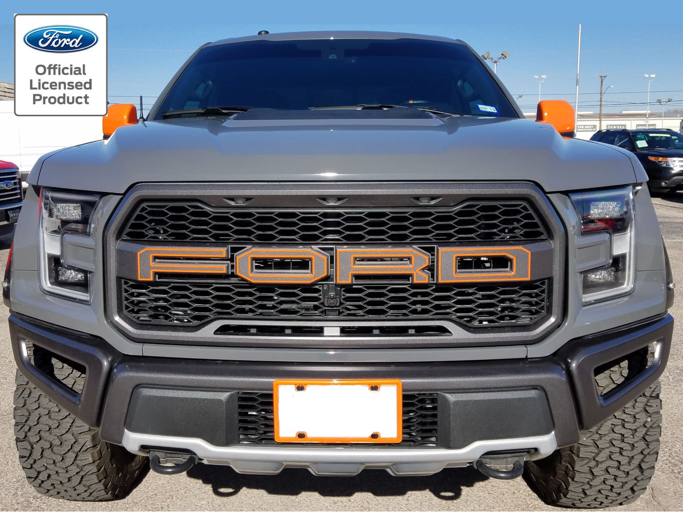 2017-2020 FORD RAPTOR SVT GRILLE LETTER OUTLINES VINYL STICKERS DECALS GRILL