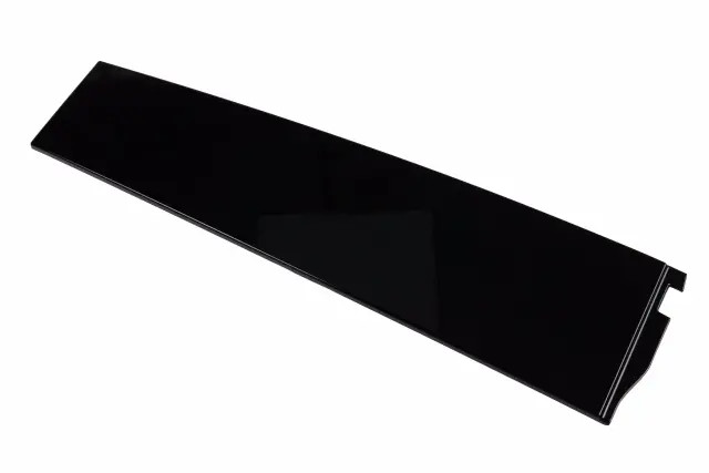 Genuine GM Rear Driver Side Door Window Frame Rear Applique 84263150