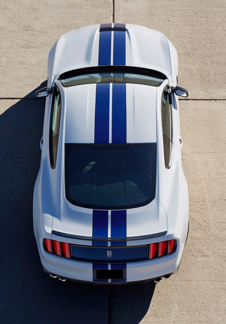 6″ PLAIN Rally Racing Stripe Graphics Stripes Set FIT 2015 – 2025 Mustang