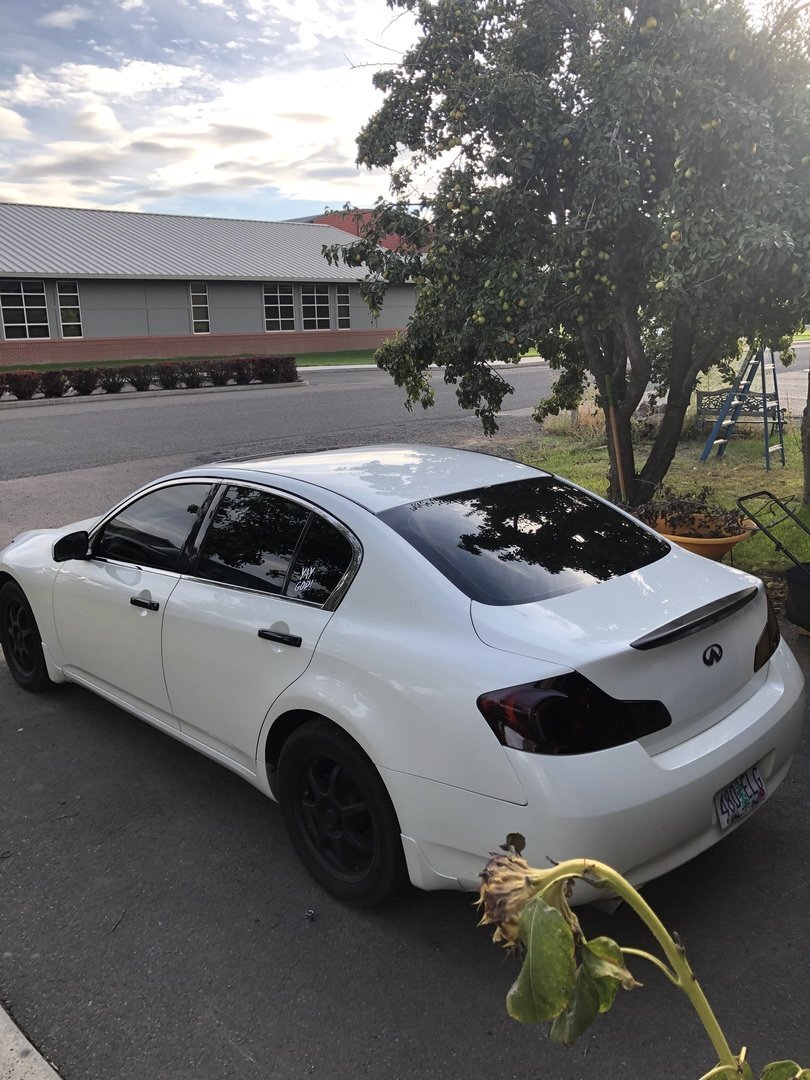 VVivid 2020 VVIVID+ Dark Smoke Air-Tint Headlight Tint | V318