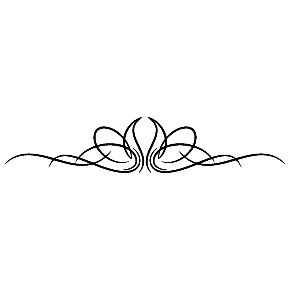Vinyl Pinstripe Decal -Many Sizes and Colors to Choose From- Free US Shipping!