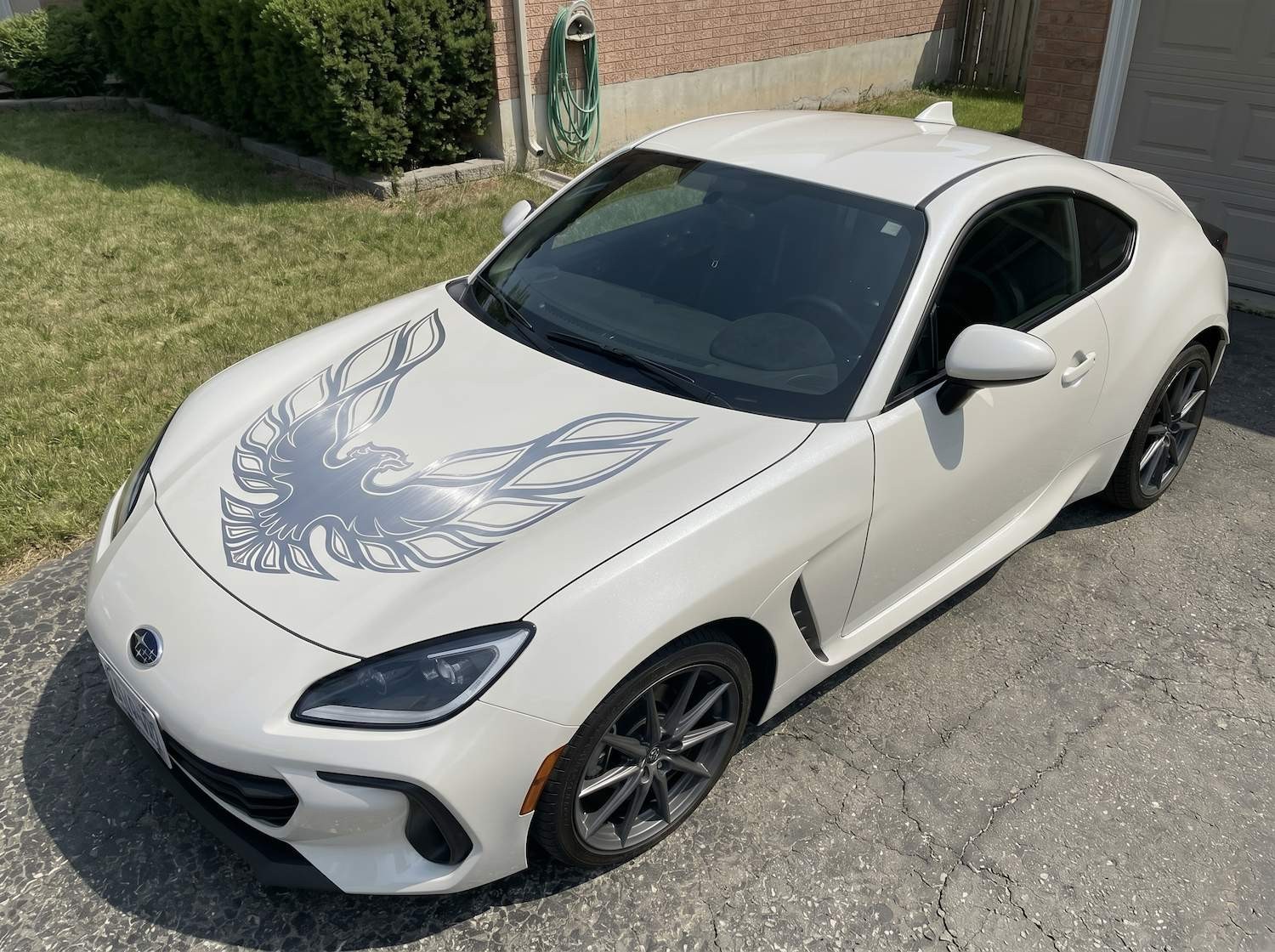 31×31 Firebird Hood Decal, Phoenix Style Vinyl Graphic, Truck SUV Car Sticker