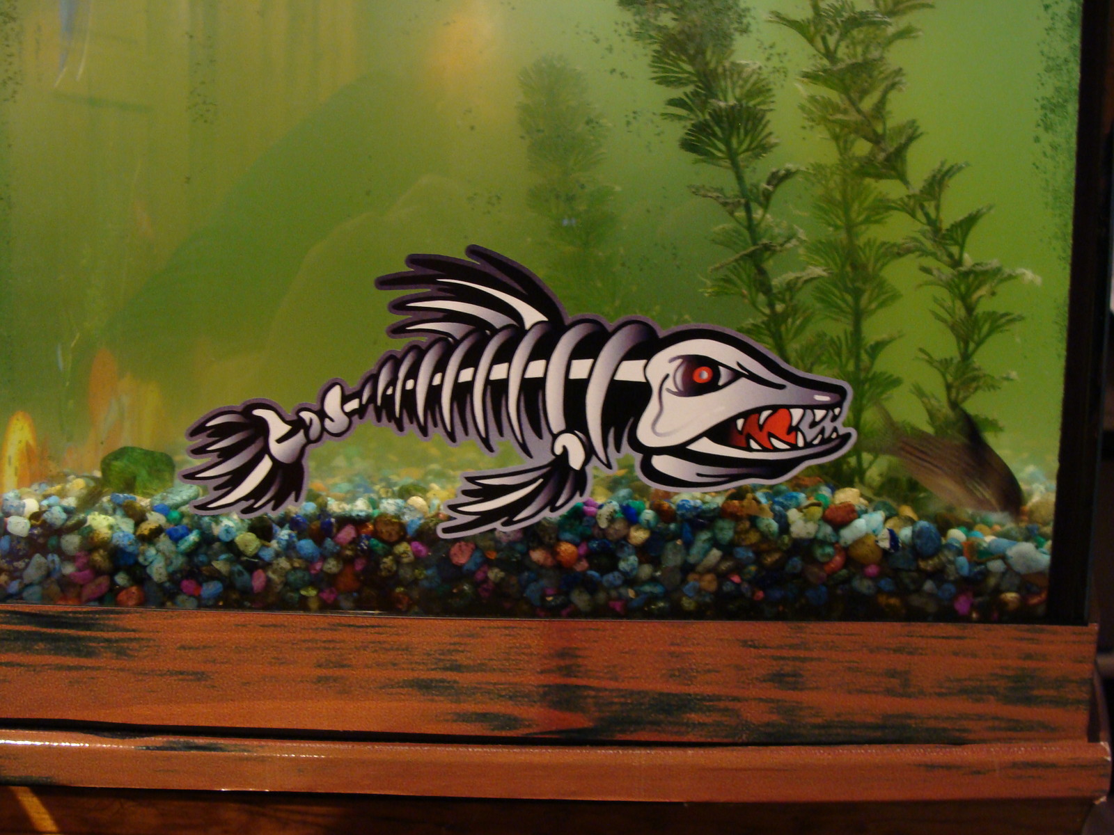 2 – 3″ x 7″ Fish Skeleton Decals Sticker Fishing Boat Graphics Ice Tackle 1500