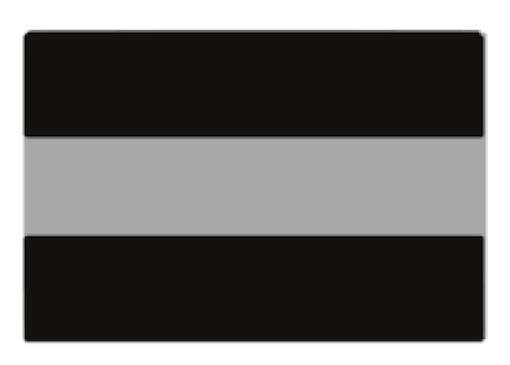 4 Pack Thin Gray Line Sticker Corrections Lives Matter License Plate Decal