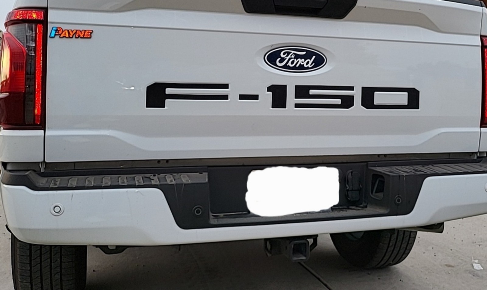 Custom Letter Inserts fit F-150, 2021-2024