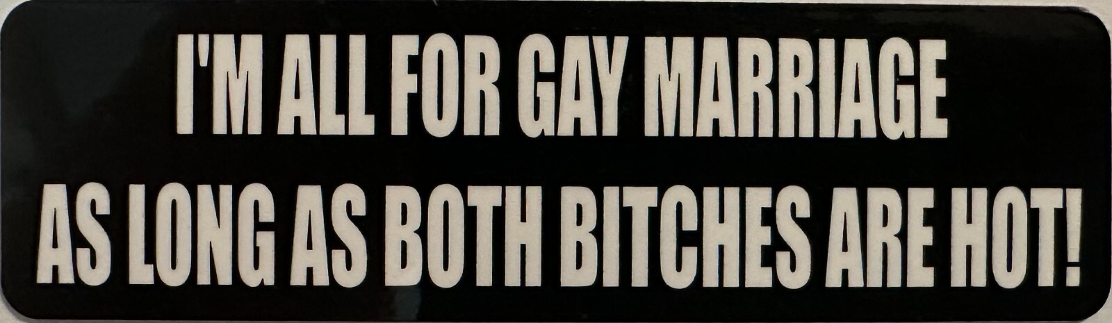 I’m All For Gay Marriage As Long As Both Bitches Are Hot Helmet Sticker B