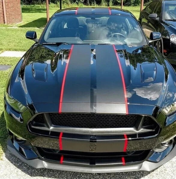 Ford Mustang Bonnet Roof Rear Side Stripes Graphics Any Year Decal 11 Rally