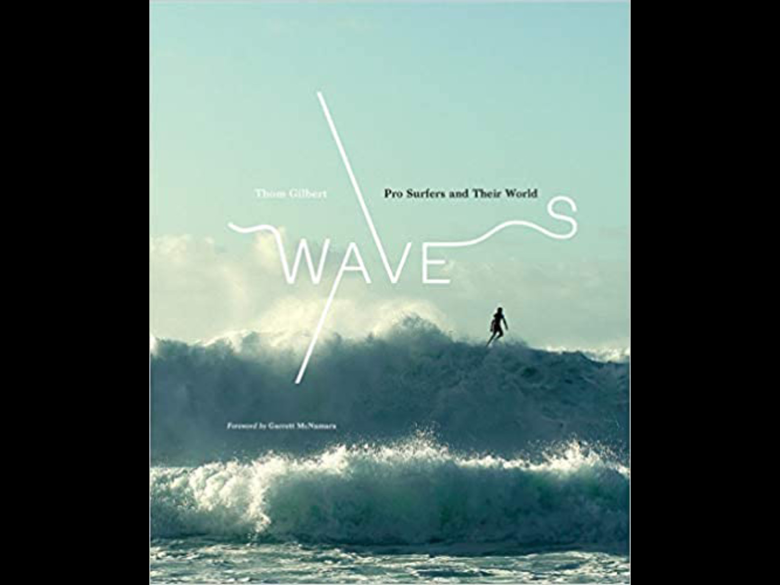 SURFING BOOK, WAVES, PRO SURFERS ,WORLD BEST SELLER, SURF SURFBOARDS RVCA ROXY1