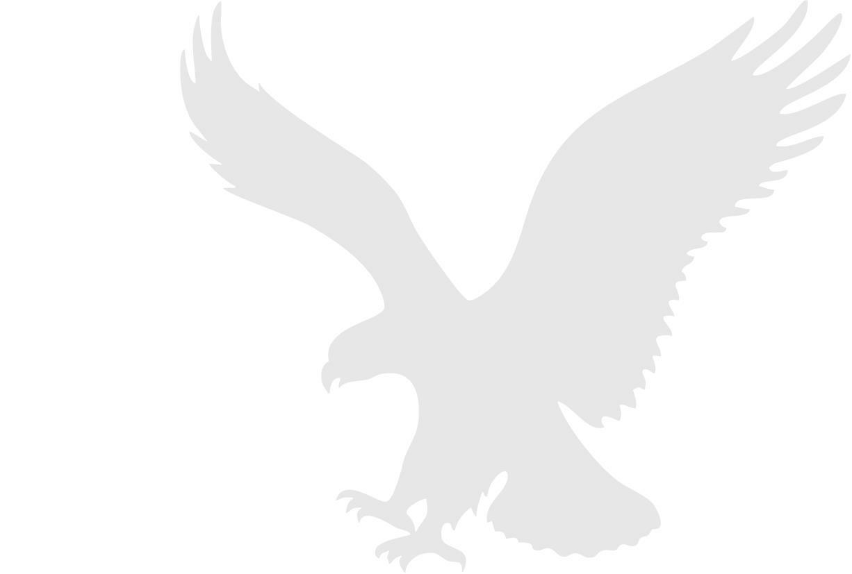 American Eagle 3 Mil Vinyl Sticker for Car or Truck Window