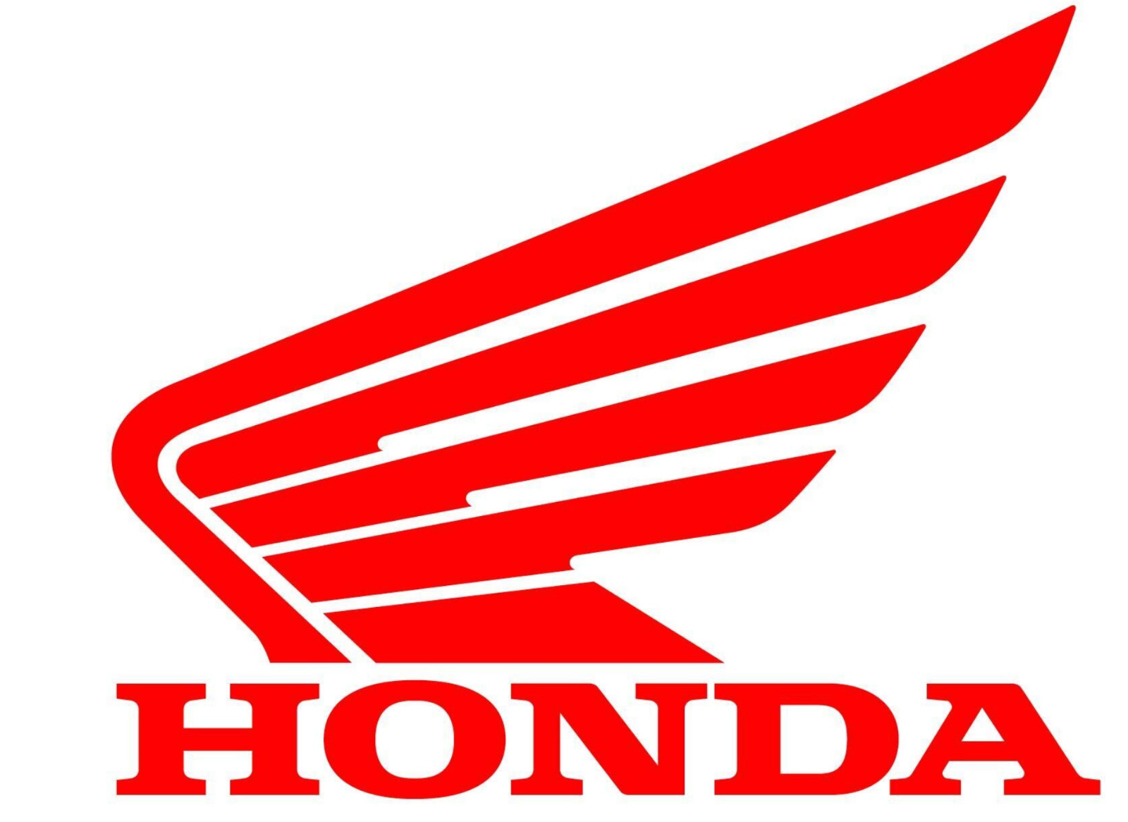 Custom Wings Vinyl Decal Sticker (1 SET- 2 PCS) for Racing Cars, ATVs, MX, Truck