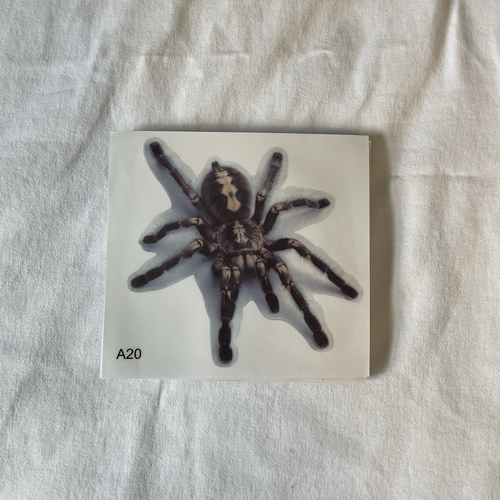Lot Of 48 Tarantula Spider Sticker 4×4 Inch Car Truck Window Bumper Decal
