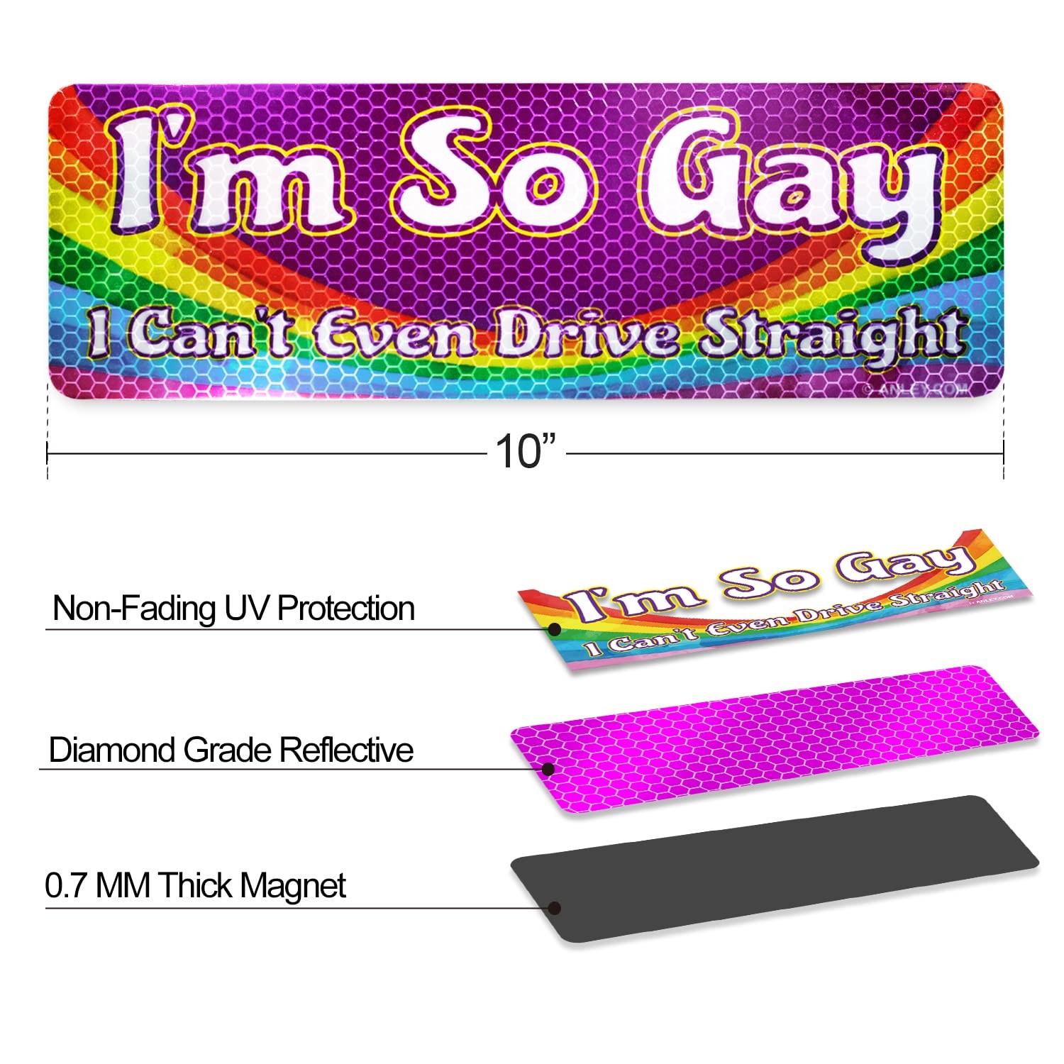Anley I’m So Gay I Can’t 10 X 3 IN, I Even Drive Straight