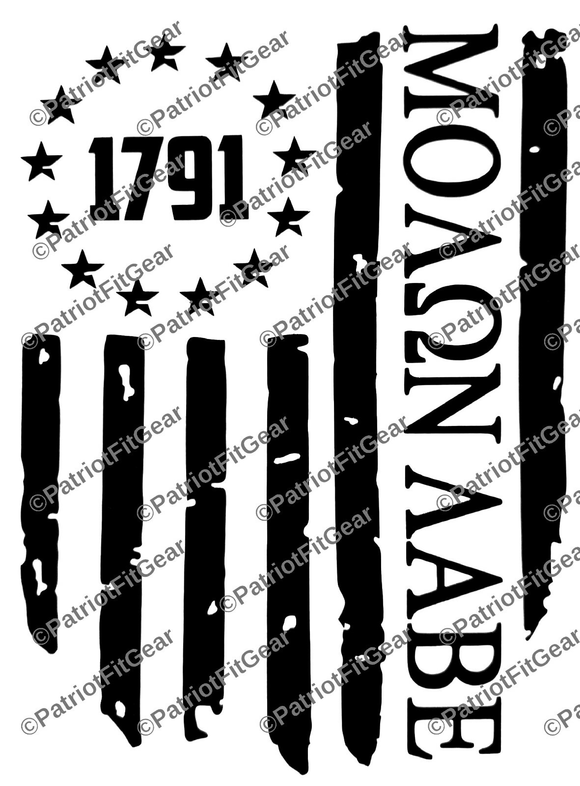 Molon Labe, We The People,1791,Dont Tread On Me,Gun Rights,2A,Custom Vinyl Decal