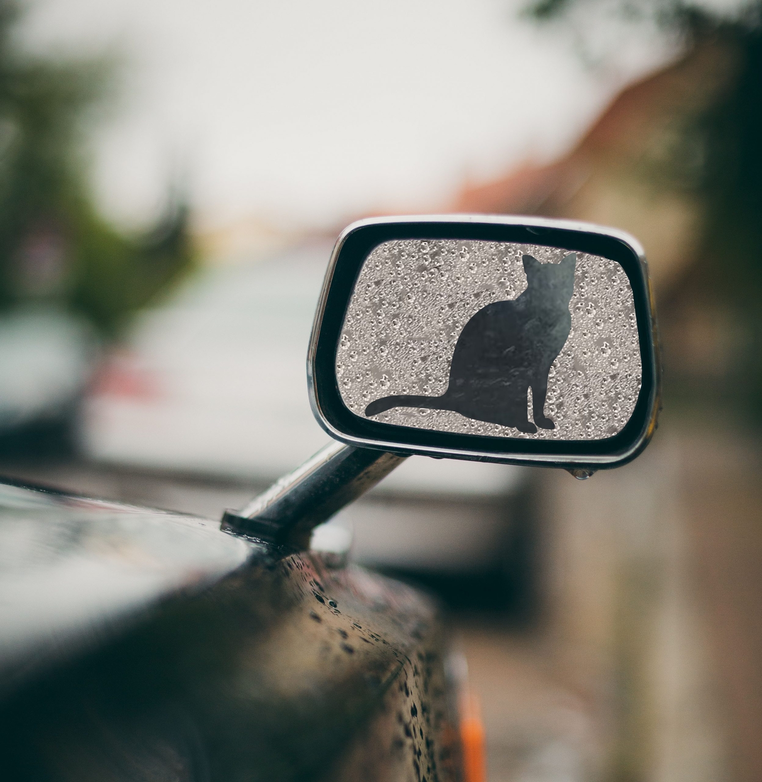 Mirror Shapes, Cat Shape, Anti Fog Film, Anti Water Film, Mirror Peeker