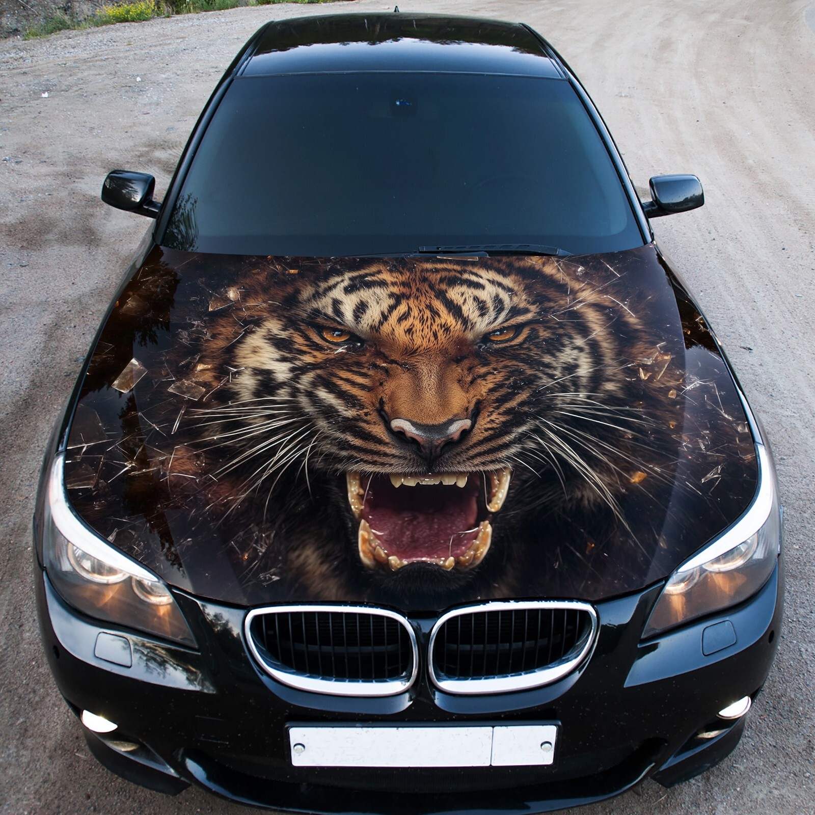 Angry Tiger Car Hood Wrap Decal Vinyl Sticker Full Color Graphic Fit any Car