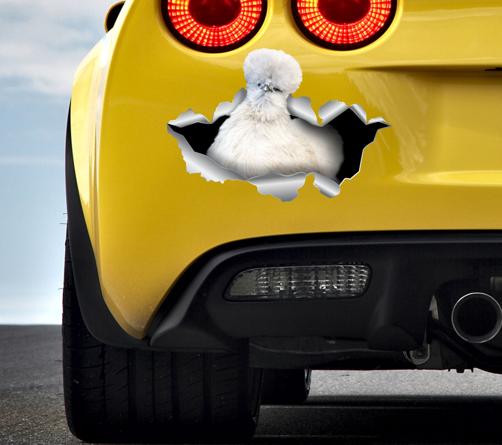 Silkie chicken Car sticker White chicken stickers Chicken sticker Hen sticker