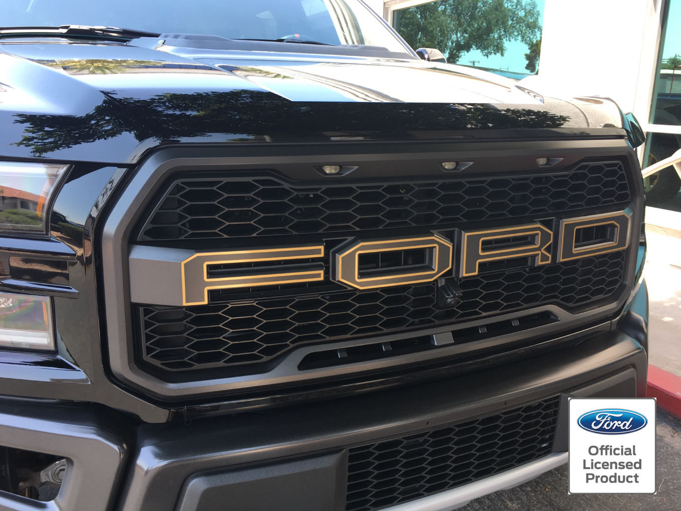 2017-2020 FORD RAPTOR SVT GRILLE LETTER OUTLINES VINYL STICKERS DECALS GRILL