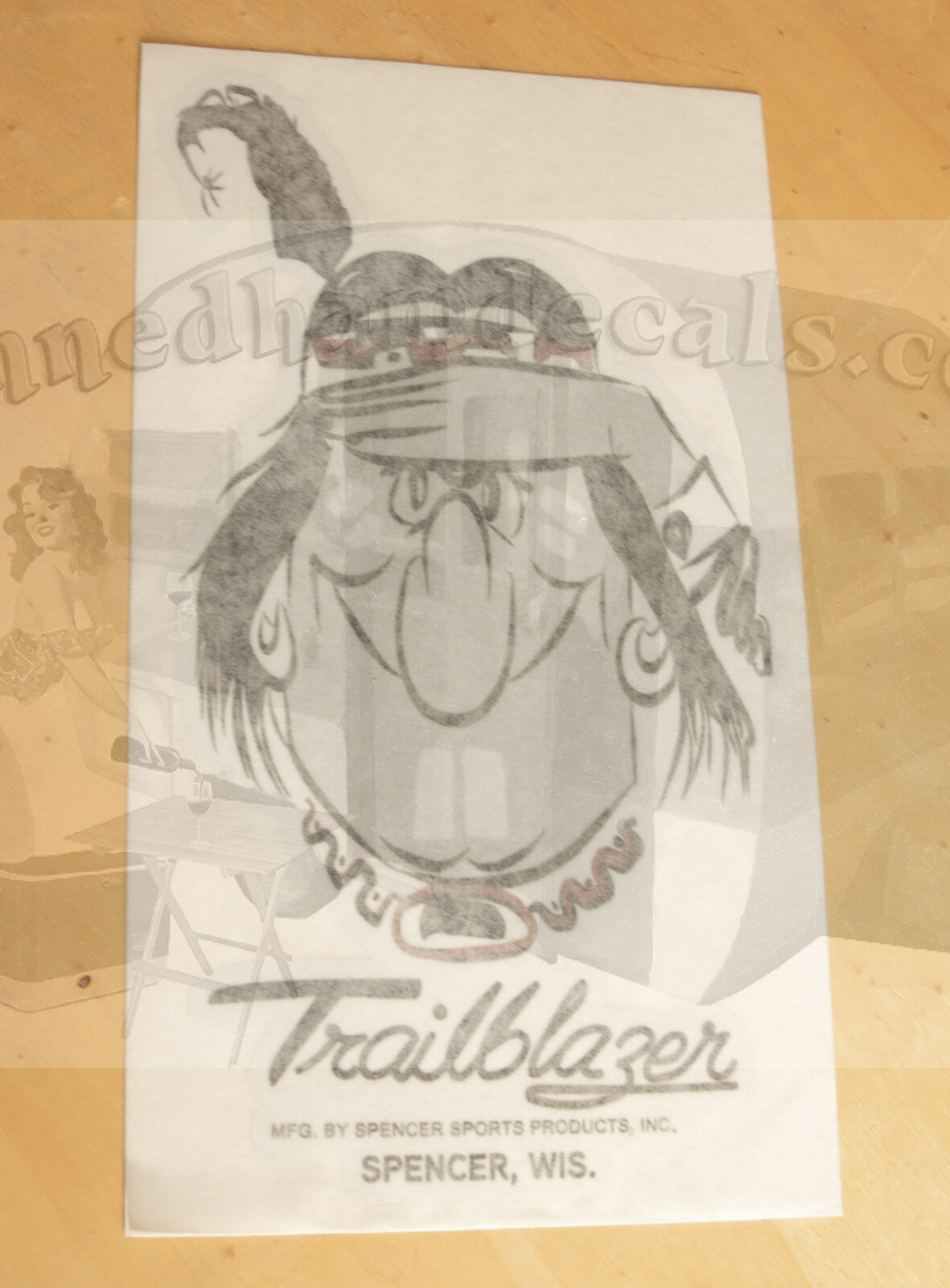 Trailblazer Vintage Travel Trailer Spencer Wis Reproduction Decals 1960’s-70’s