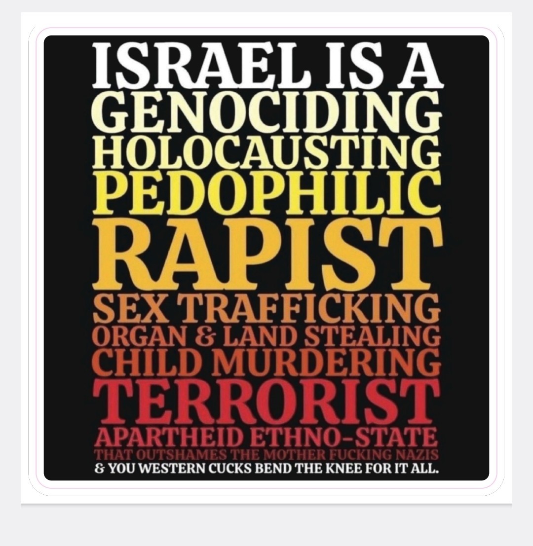 FREE SPEECH STICKERS (3) FREE SPEECH ZONE Made in USA 🇺🇸