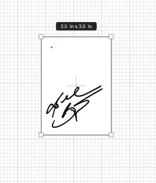 CUSTOM FACSIMILE AUTOGRAPH SIGNATURE DECAL STICKER, MULTIPLE COLORS AND SIZES!