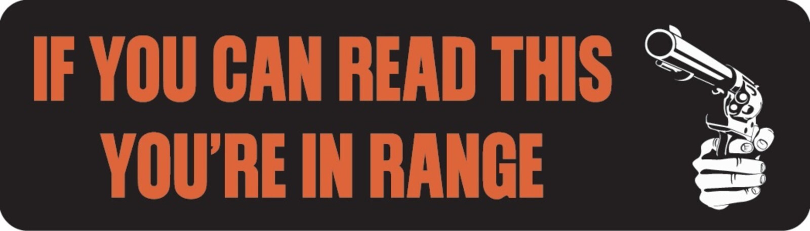 If You Can Read This You’re In Range Motorcycle Helmet Sticker B