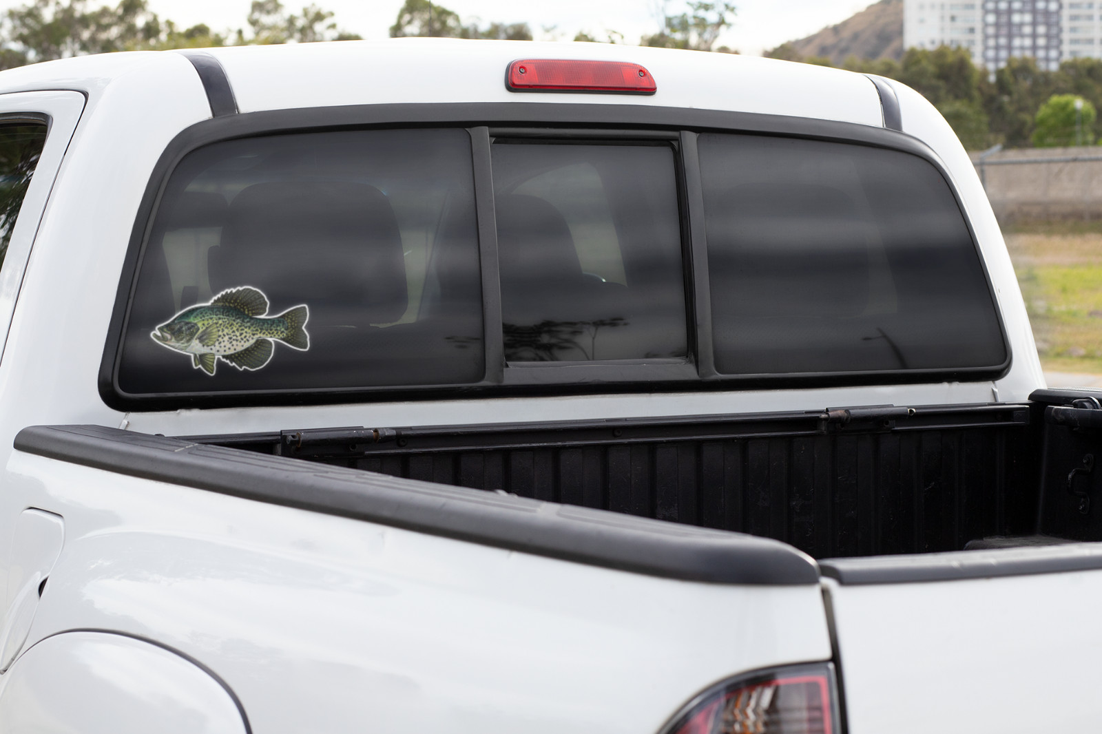 Blue Gill Truck Window Vinyl Decal Laptop Graphic Weatherproof Sticker 2″–29″