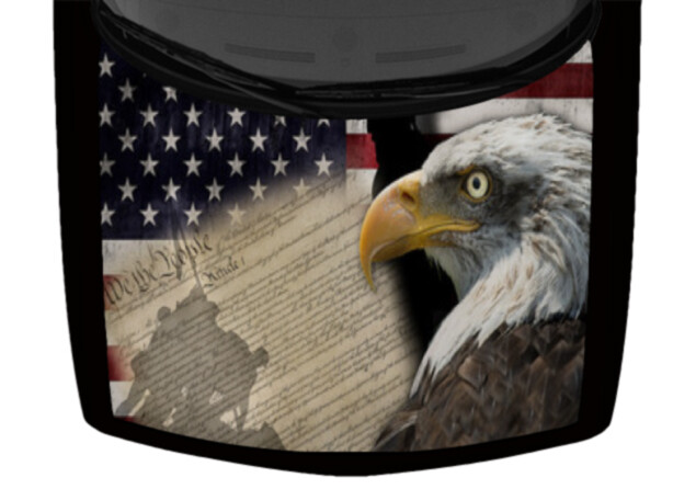 CUSTOM SIZE – American Flag Bald Eagle Patriotic – 48 in x 78 in